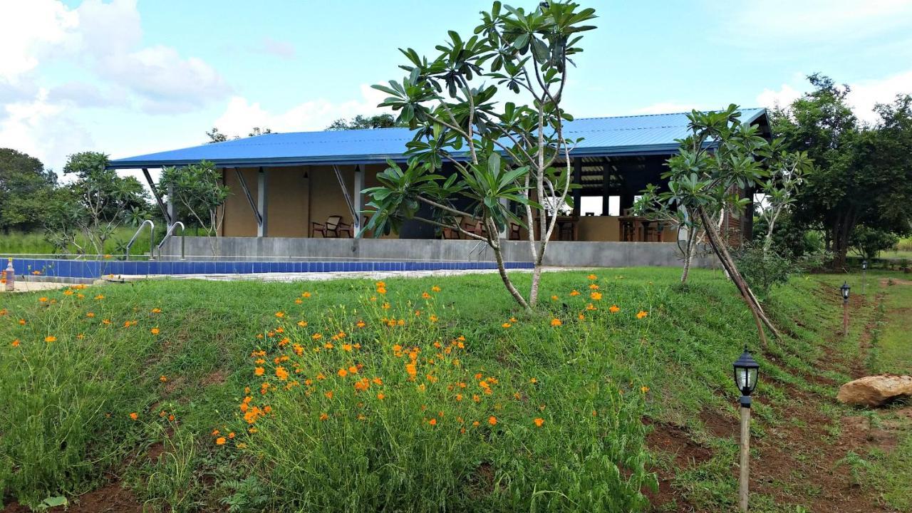 Birdwing Sigiriya Hotel Exterior photo