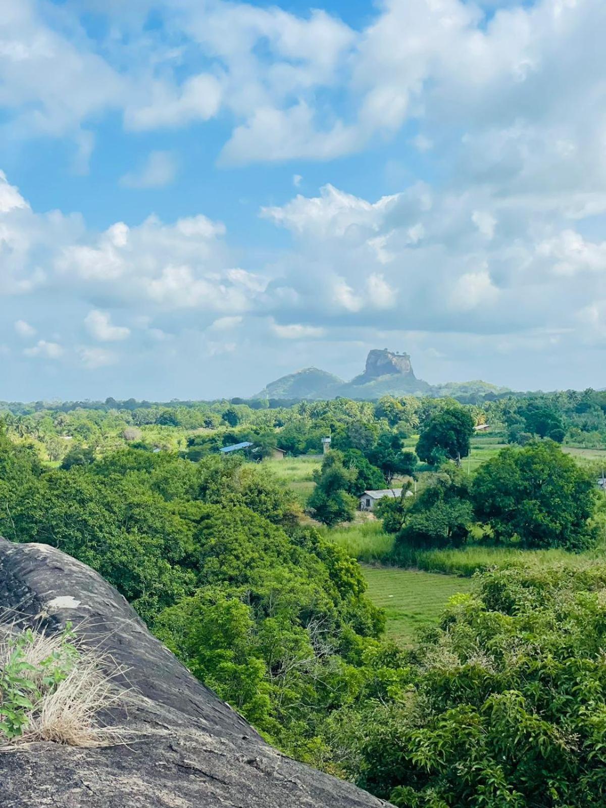 Birdwing Sigiriya Hotel Exterior photo