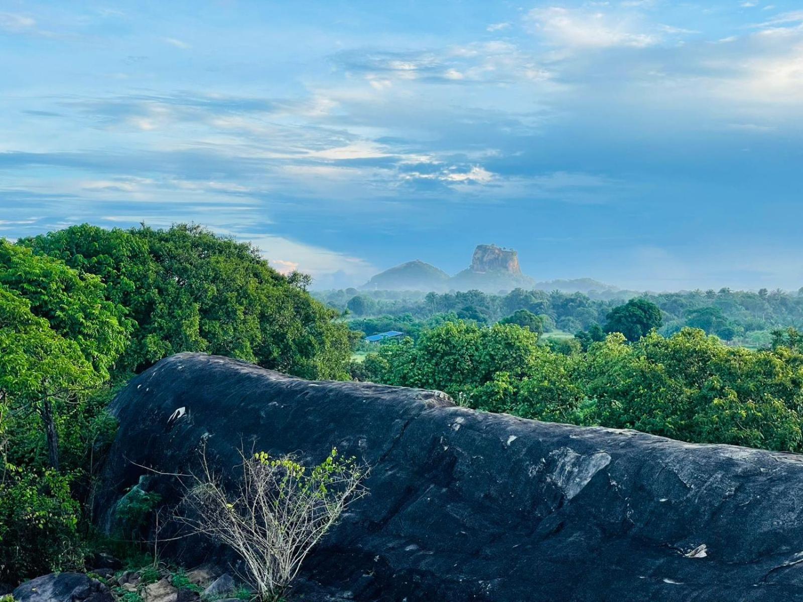 Birdwing Sigiriya Hotel Exterior photo